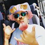 Profile Picture of Isaiah Wallace (@isaiahwallace15) on Instagram