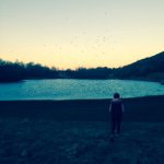 Profile Picture of Back-Up🌺 (@eva.donnellyy) on Instagram