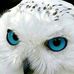 Profile Picture of Carol Goad (@carol.goad.33) on Facebook