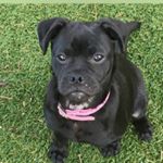 Barbara G Edelson - Instagram Profile Picture of Barbara G Edelson (@barbaragedelson) on Instagram