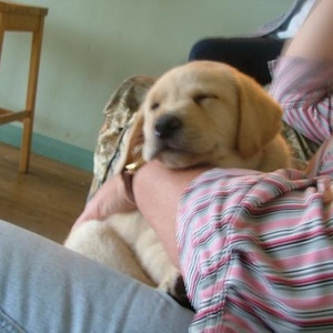 Profile Picture of Jean Macleod (@131492546) on Myspace