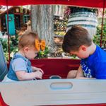 Molly Cuthbert - Instagram Profile Picture of Molly Cuthbert (@mollycutty) on Instagram