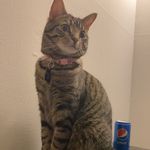 Profile Picture of Jamie (@jamie.lynn.farmer) on Instagram