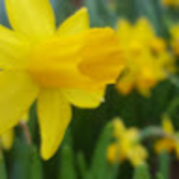 Profile Picture of Jillian Kassor (@jillianbreek) on Poshmark