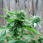 Profile Picture of Reginald Eugene Trotter (@reginald.trotter) on Instagram