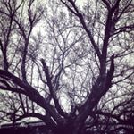 Profile Picture of B&W Photography (@mistykent814) on Instagram