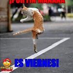 Profile Picture of Segundo Diaz (@segundo65478) on Instagram