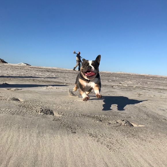 Profile Picture of Kevin Von bargen (@kevinvonbargen1) on Poshmark