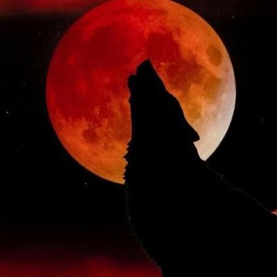 Profile Picture of Sean _Swing (@swing_sean) on Twitter