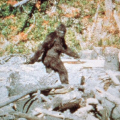 Profile Picture of Andrew Giddens (@AndrewGidds) on Twitter