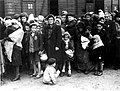Profile Picture of Holocaust survivorson Wikipedia