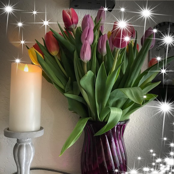 Profile Picture of Diane Delamarter (@dianedelamarter) on Poshmark