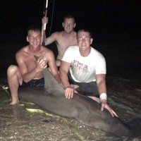 Profile Picture of Wyatt Cook (@wyatt-cook-18) on Quora