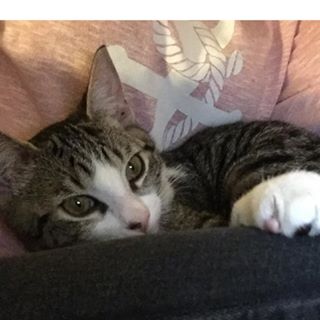 Profile Picture of Edith Lepage (@edith.lepage.948) on Facebook