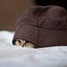Profile Picture of Giang Dinh (@giangdinh10420) on Pinterest