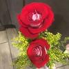 Profile Picture of Joy Flake (@@user331078666) on Tiktok