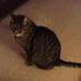 Profile Picture of Janet Yarnall (@janet.yarnall.7) on Facebook
