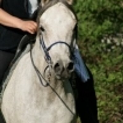 Profile Picture of Anne Farina Martens (@Minu270) on Twitter