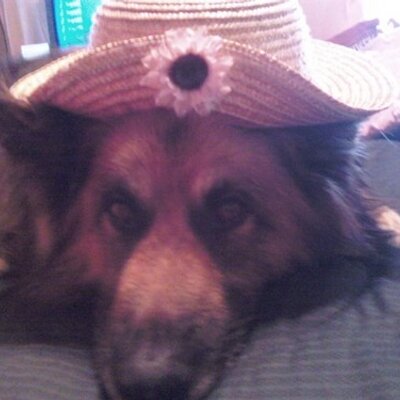 Profile Picture of Ron Shroder (@rwshroder19) on Twitter