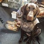Profile Picture of Scott Giesler (@gieslermaintenance) on Instagram