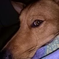 Profile Picture of Paula Brune (@paulitabrune081) on Twitter