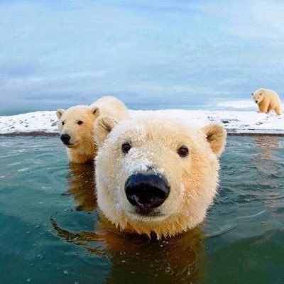 Y - Twitter Profile Picture of Y (@YolandaFerrerB) on Twitter