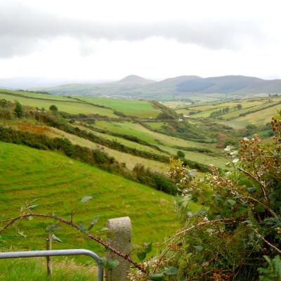 Ms. Scheps - Twitter Profile Picture of Ms. Scheps (@mscheps) on Twitter