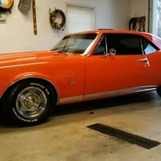 Profile Picture of Dennis Quigg (@dennisquigg) on Instagram