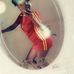 Profile Picture of Nicholas Plummer (@nicholas.plummer.3304) on Facebook
