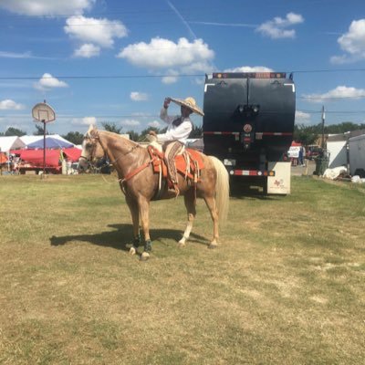 Profile Picture of Cesar Mascorro (@cesarmascorro5) on Twitter