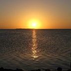 Profile Picture of Diane McGinnis (@dimc) on Pinterest