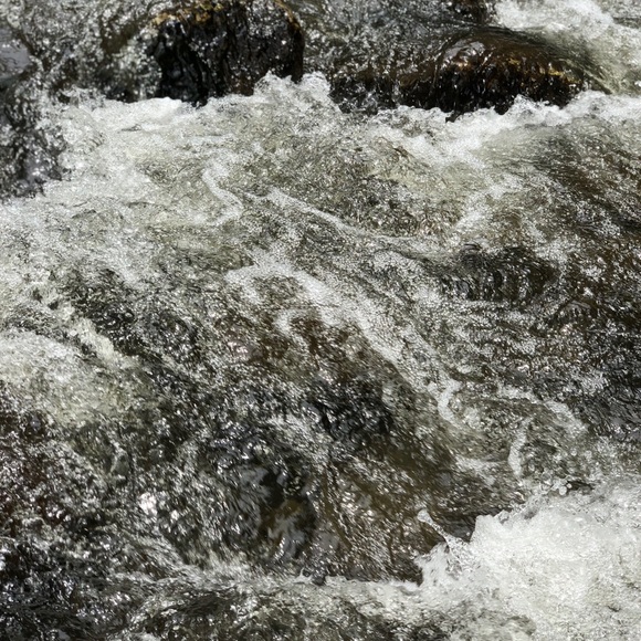 Profile Picture of Sean King (@seanking323) on Poshmark