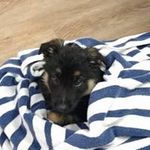 Profile Picture of Brian Wakely (@brianwakely) on Instagram