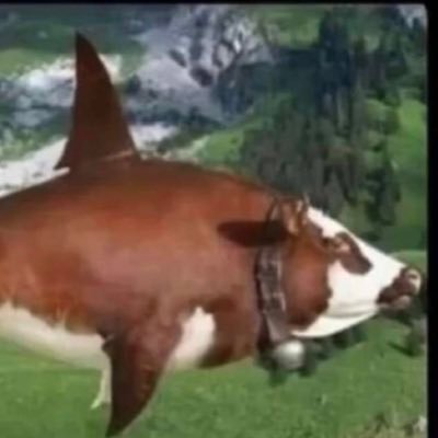 Profile Picture of Garry Hanna (@garryhanna6) on Twitter