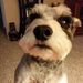 Profile Picture of Darrell Holder (@dlholder8) on Pinterest