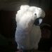 Profile Picture of Joey Jacobs (@joey.jacobs.7902564) on Facebook