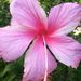Profile Picture of Dena Reidl (@dmreidl) on Pinterest