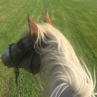 Profile Picture of Leila Wright (@Leilawr13245768) on Twitter