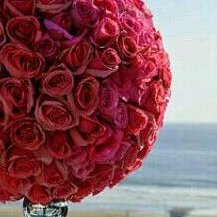 Profile Picture of Felisha Phillips (@felisha99310407) on Twitter