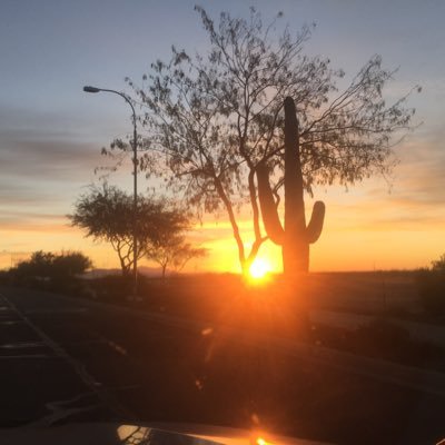 Profile Picture of Brooke Mancuso (@MancusCus) on Twitter