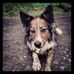 Profile Picture of Jo Armistead (@jo.armistead.5) on Facebook