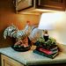Profile Picture of Beverly Slaughter (@beverlyslaughter1952) on Pinterest