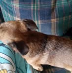 Profile Picture of Johnny Spracklin (@johnny.spracklin.2025) on Facebook