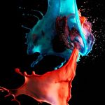 Profile Picture of Kenneth Cai (@kennethcai8) on Instagram