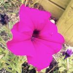 Branagh Overington - Instagram Profile Picture of Branagh Overington (@brans.photography) on Instagram