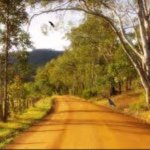 Profile Picture of Kendra (@therusticroaddiy) on Instagram