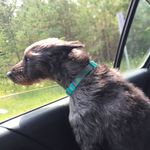 John Andreadis - Instagram Profile Picture of John Andreadis (@johnandreadis70) on Instagram