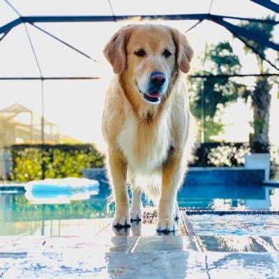 Profile Picture of Kevin Romano (@KevinRomano3) on Twitter