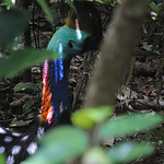 Profile Picture of David Nielsen (@ecoled.lighting) on Flickr