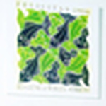 Profile Picture of Eric Lau (@cneefs) on Flickr